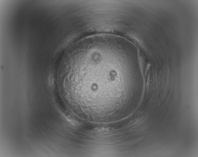 X0000069790687200605261657