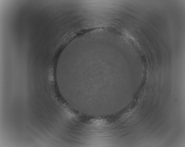 X0000069790689200605261657