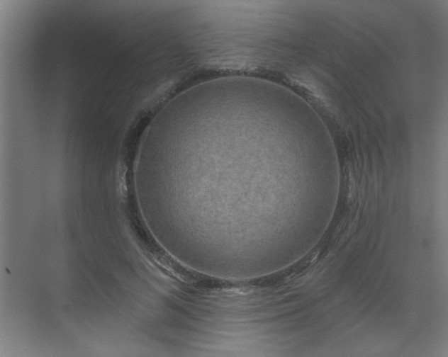 X0000069790692200605261657