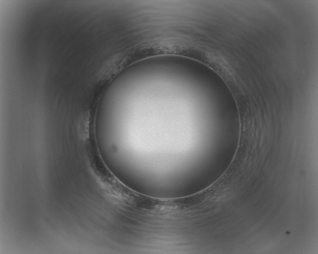 X0000069790694200605261657