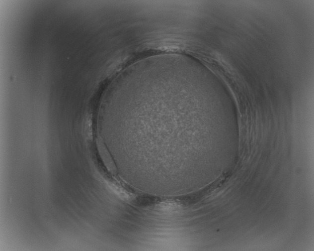 X0000069790696200605261657