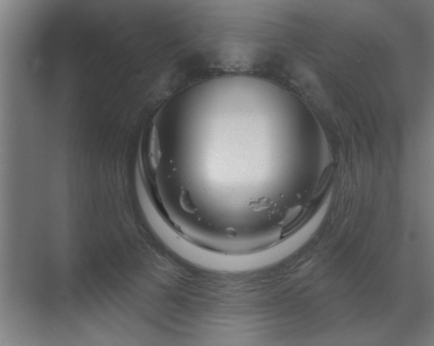 X0000069790697200605261657