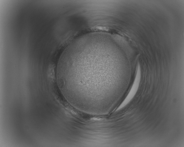 X0000069790699200605261657