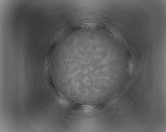 X0000069790701200605261657