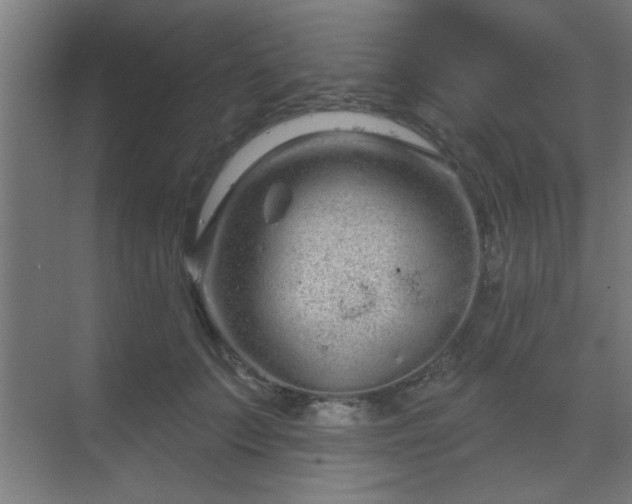 X0000069790703200605261657