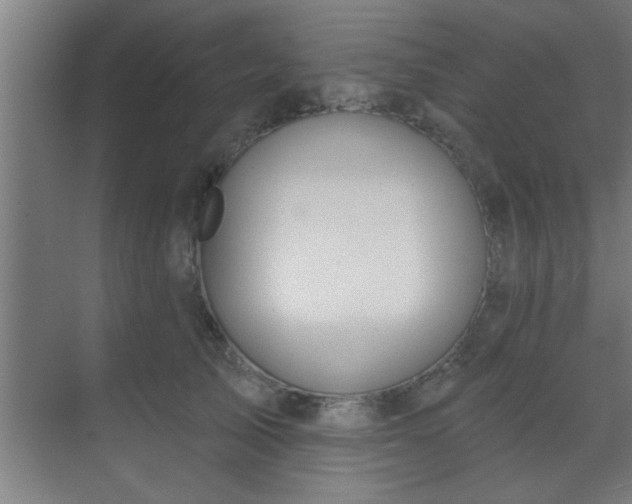 X0000069790705200605261657