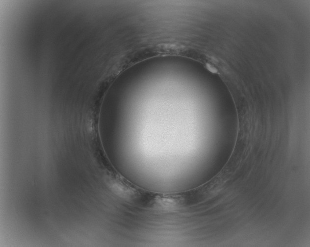 X0000069790706200605261657