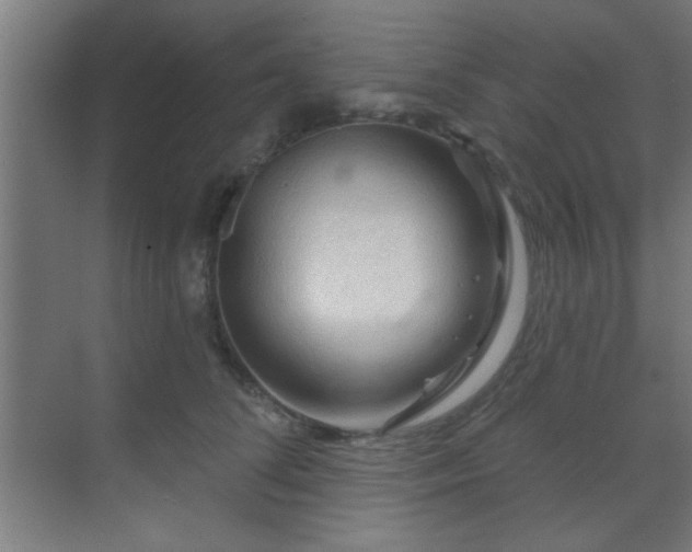 X0000069790708200605261657