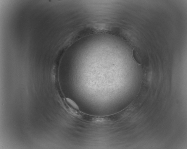 X0000069790710200605261657