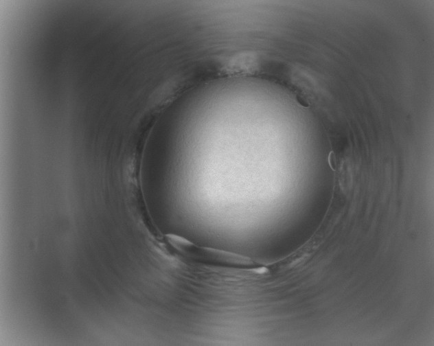 X0000069790714200605261657