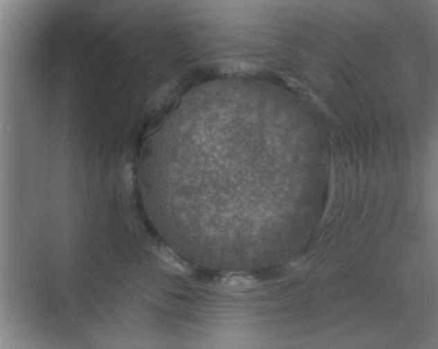 X0000069790716200605261657