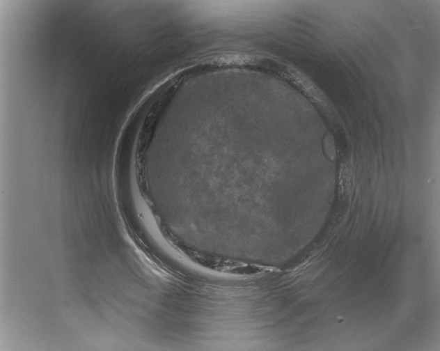 X0000069790722200605261656