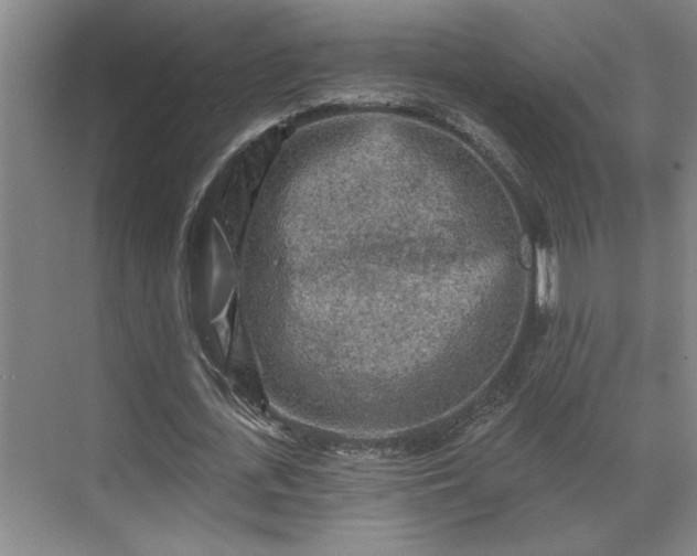 X0000069790723200605261656