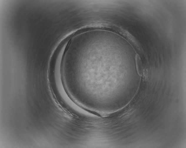 X0000069790724200605261656