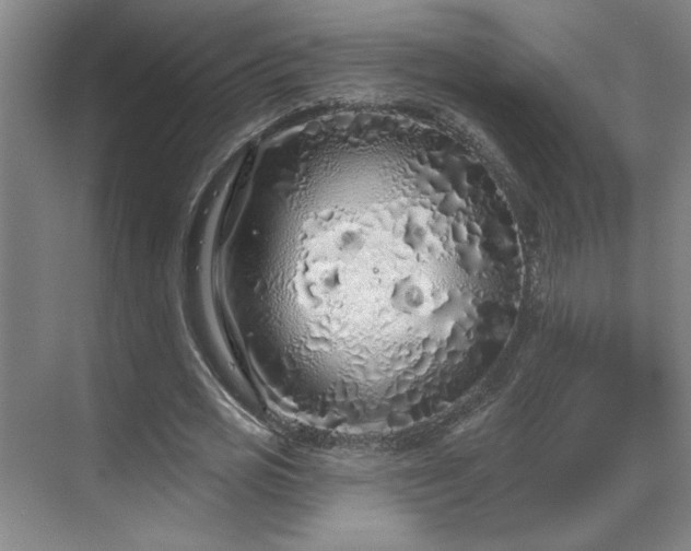 X0000069790725200605261656