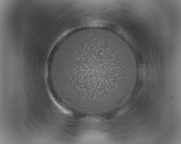 X0000069790726200605261656