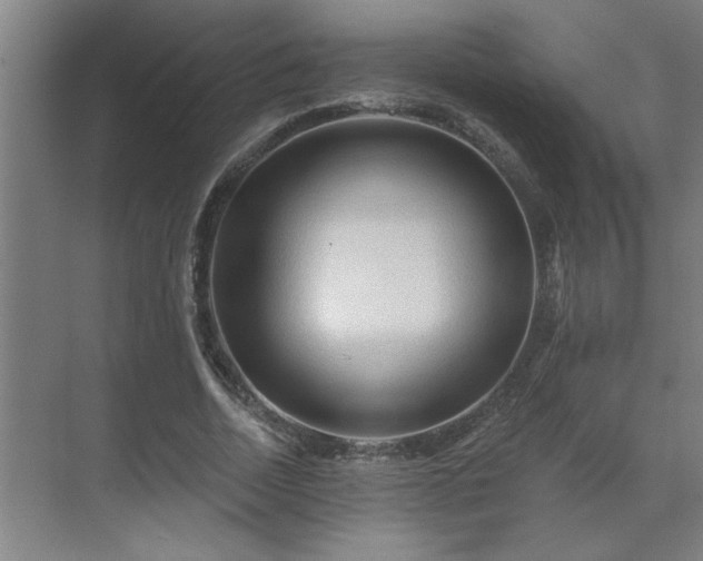 X0000069790730200605261656