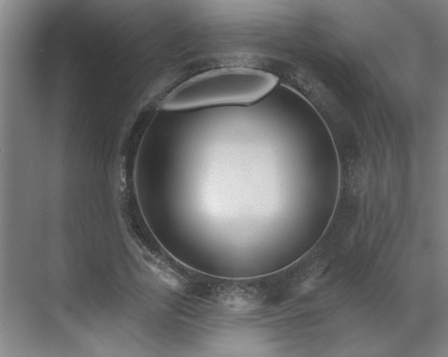 X0000069790731200605261656