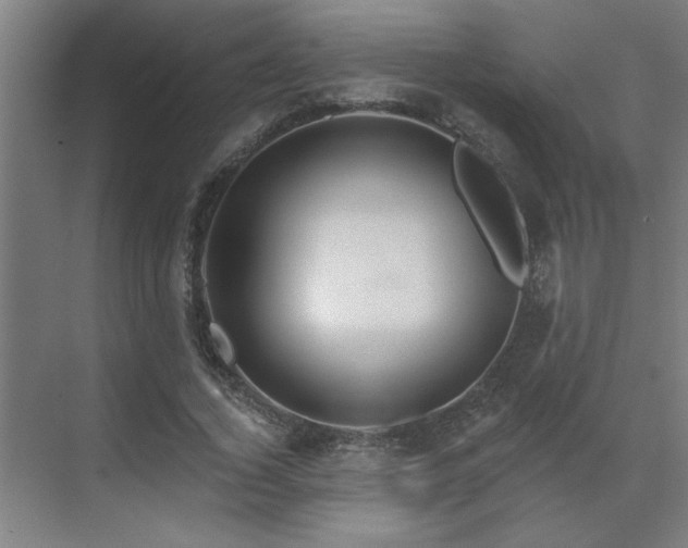 X0000069790732200605261656