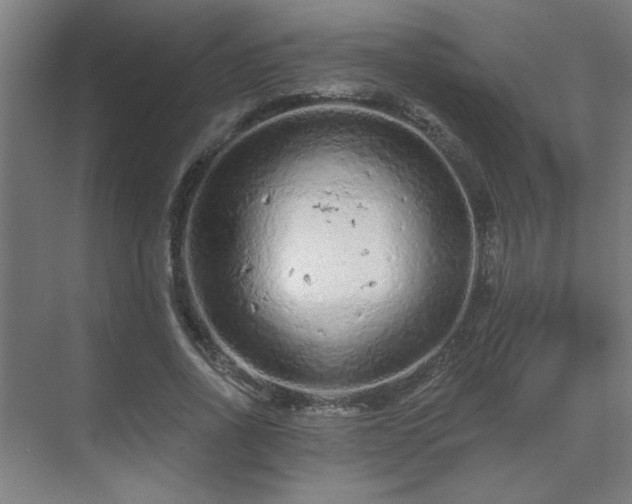 X0000069790734200605261656