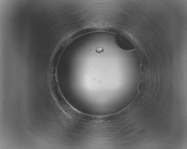 X0000069790736200605261656