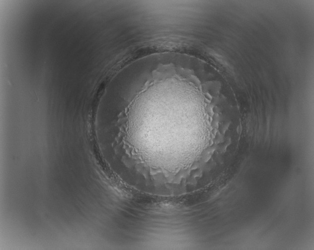 X0000069790737200605261656