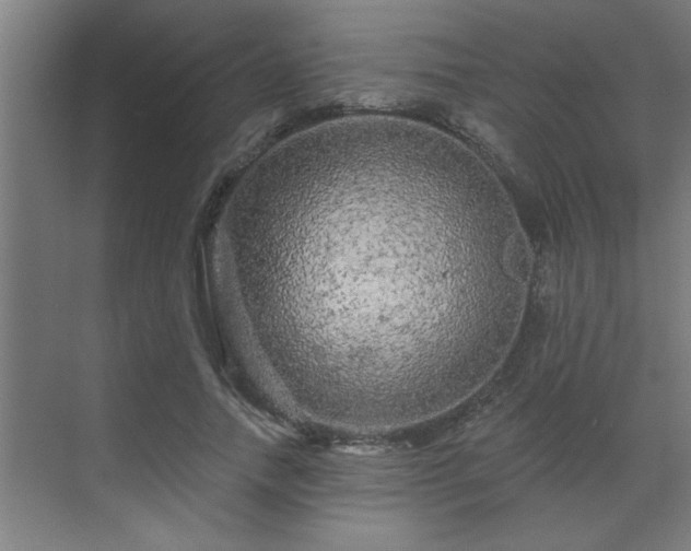 X0000069790738200605261656