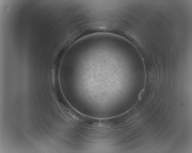 X0000069790739200605261656