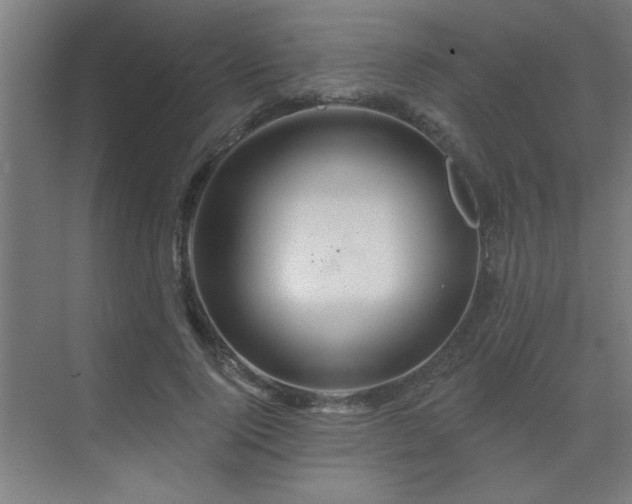 X0000069790740200605261656