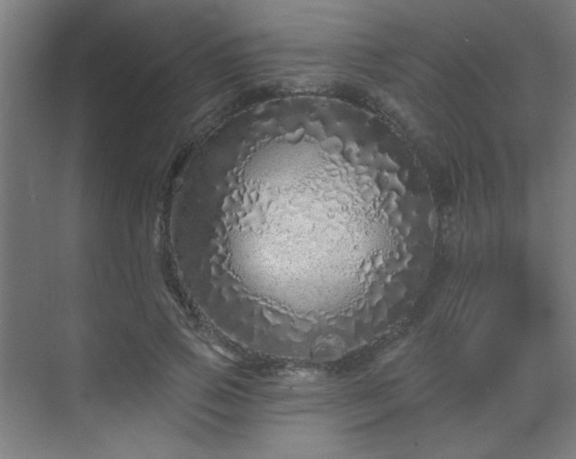 X0000069790741200605261656