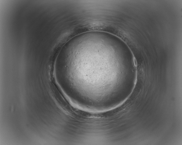 X0000069790742200605261656