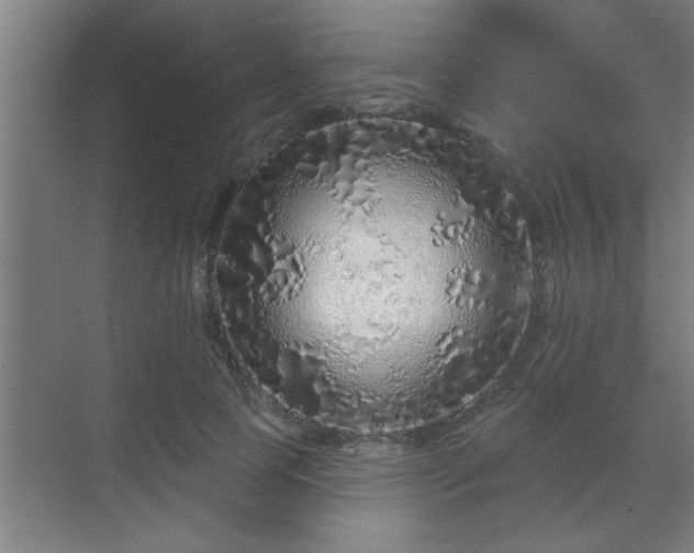 X0000069790745200605261656