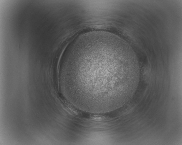 X0000069790746200605261656