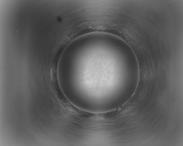 X0000069790747200605261656