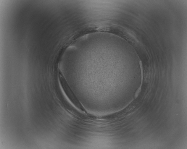 X0000069790748200605261656