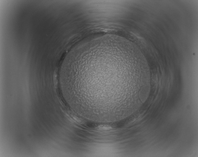 X0000069790749200605261656