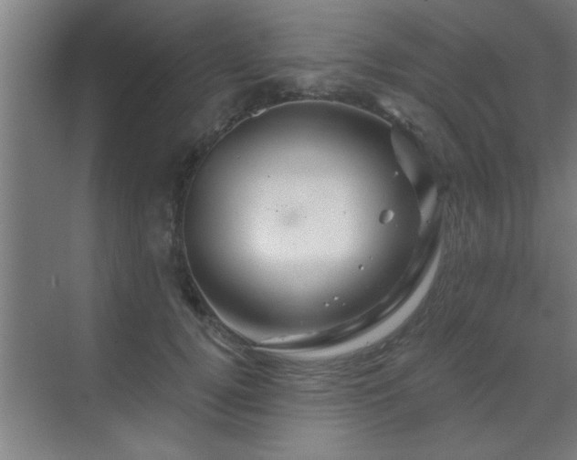 X0000069790752200605261656