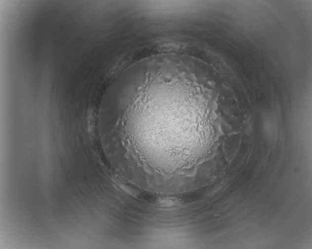 X0000069790753200605261656