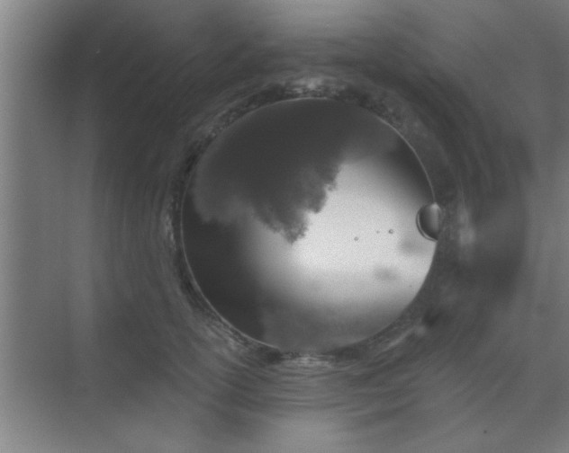 X0000069790754200605261656