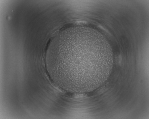 X0000069790757200605261656