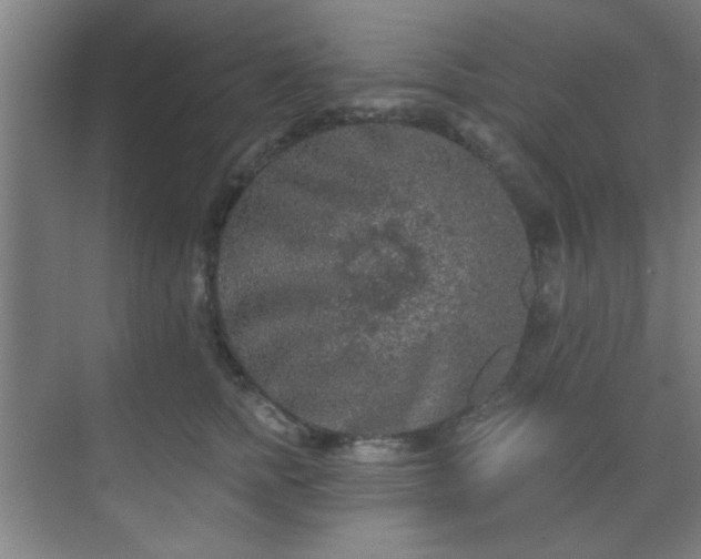 X0000069790758200605261656