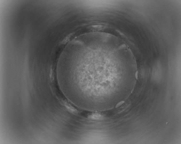 X0000069790759200605261656