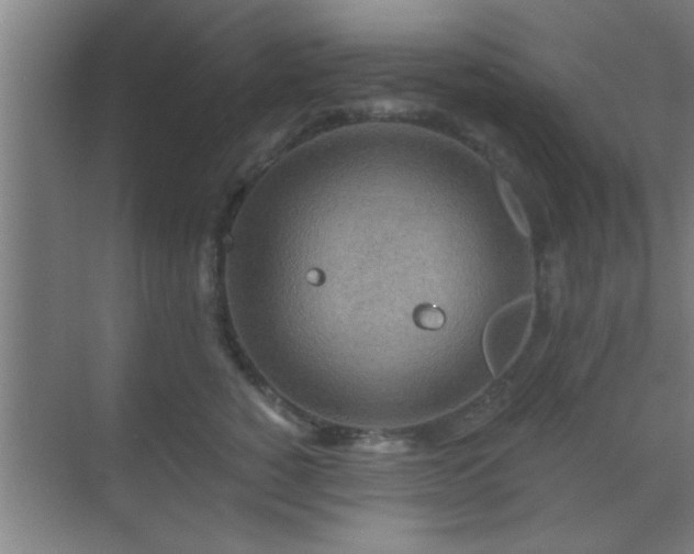 X0000069790760200605261656