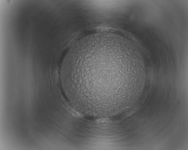 X0000069790761200605261656