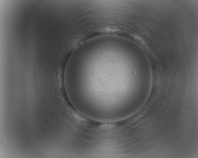 X0000069790762200605261656