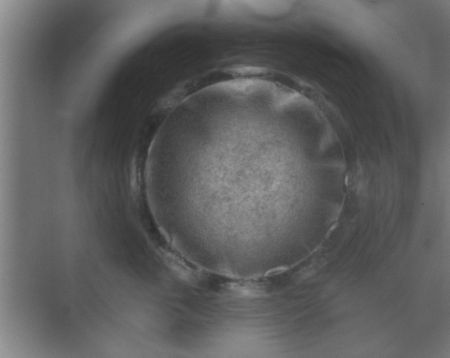 X0000069790763200605261656