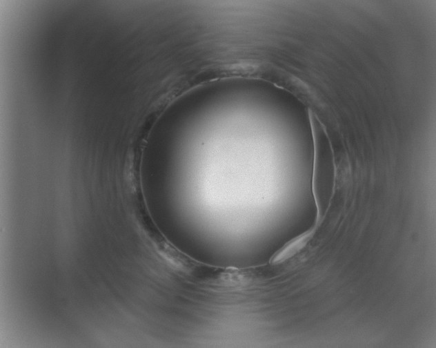 X0000069790764200605261656