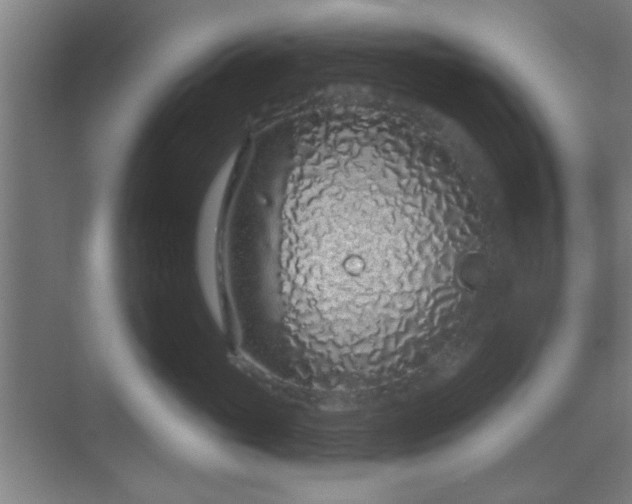 X0000069790765200605261656