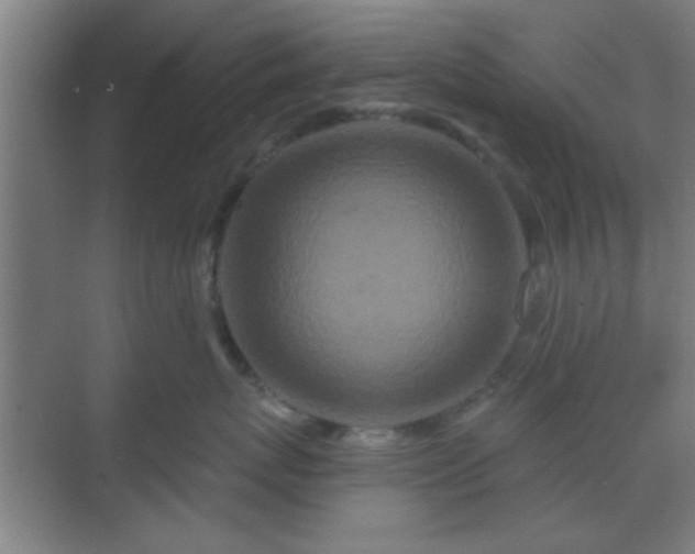 X0000069790767200605261656