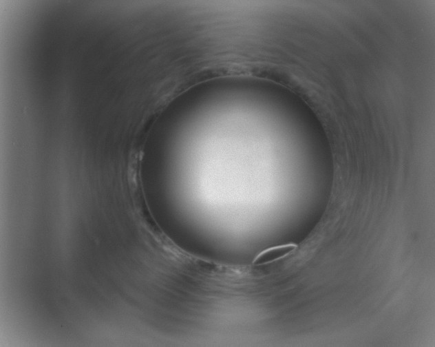 X0000069790768200605261657